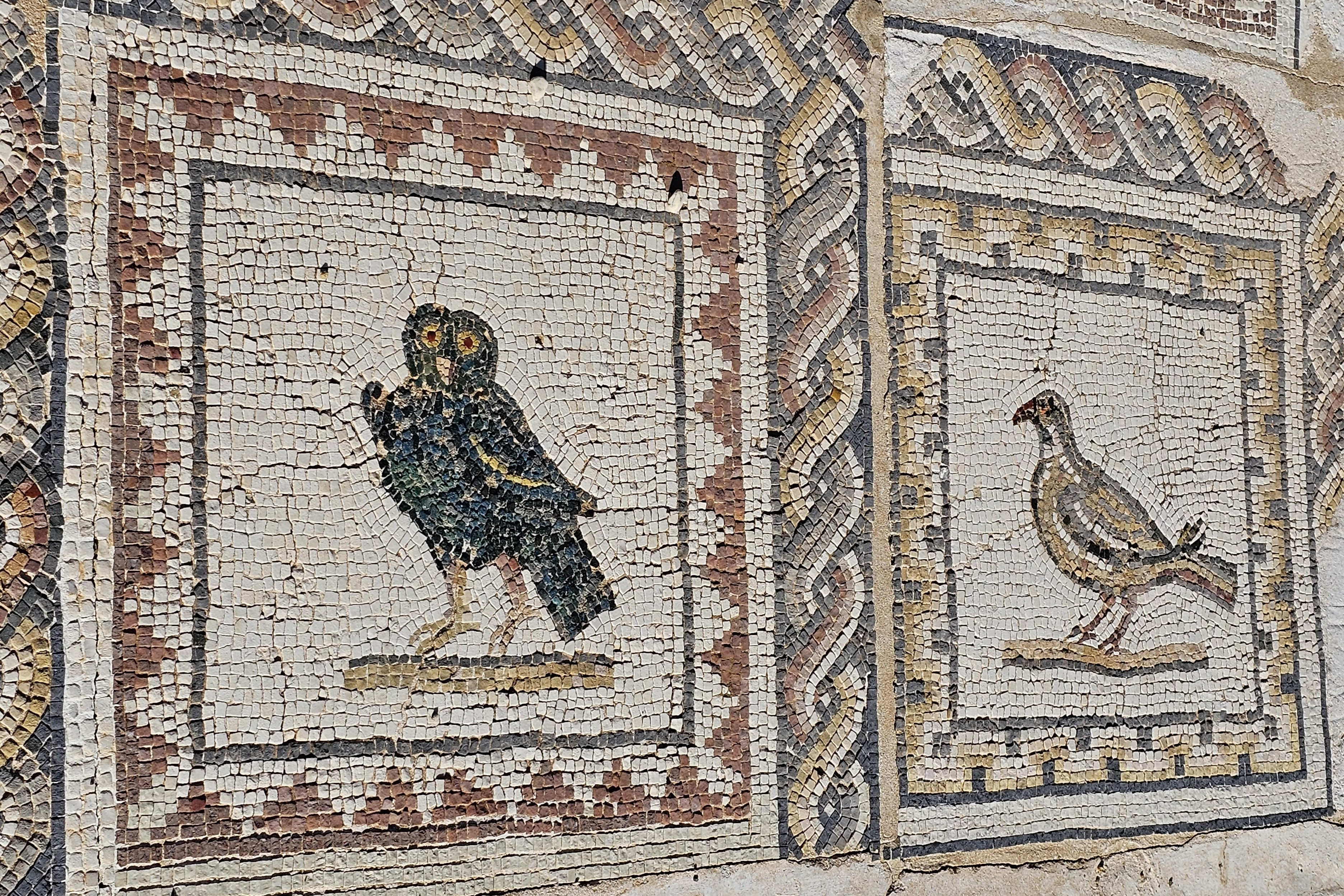 Italica